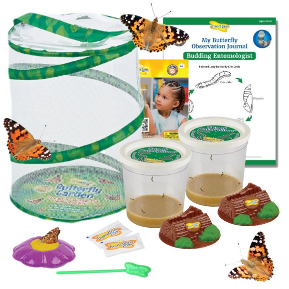 Insect Lore Jardin de Papillons / 10 Chenilles Vivantes / Habitat, Mangeoire, Bûches Chrys-A-Lid, Journal de Tige Inclus / Rehausser et Libérer les Papillons Peints pour Femmes