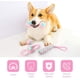 thumbnail image 3 of Juguete de cuerda para perros, 4 piezas de juguetes indestructibles para perros para cachorros y perros pequeños, juguetes para masticar, juguete interactivo para entrenamiento de dientes, algod, 3 of 5