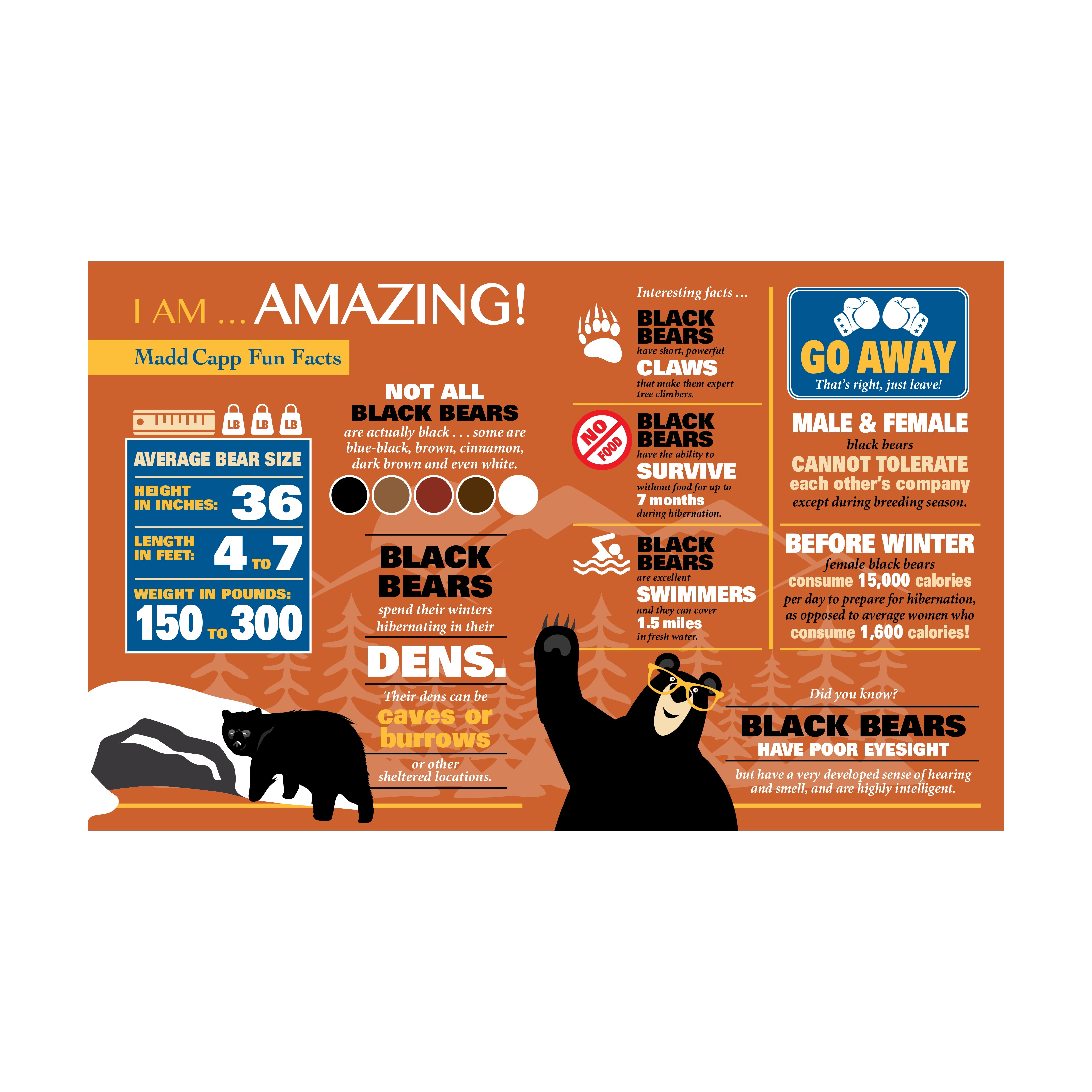 Madd Capp BEAR 550 Piece Jigsaw Puzzle For Ages 10 and up - 3004 - Unique Animal-Shaped Border, Poster Size, Challenging Random Cut, Five-Sided Box Fits on Bookshelf, Includes Educational Fun Facts