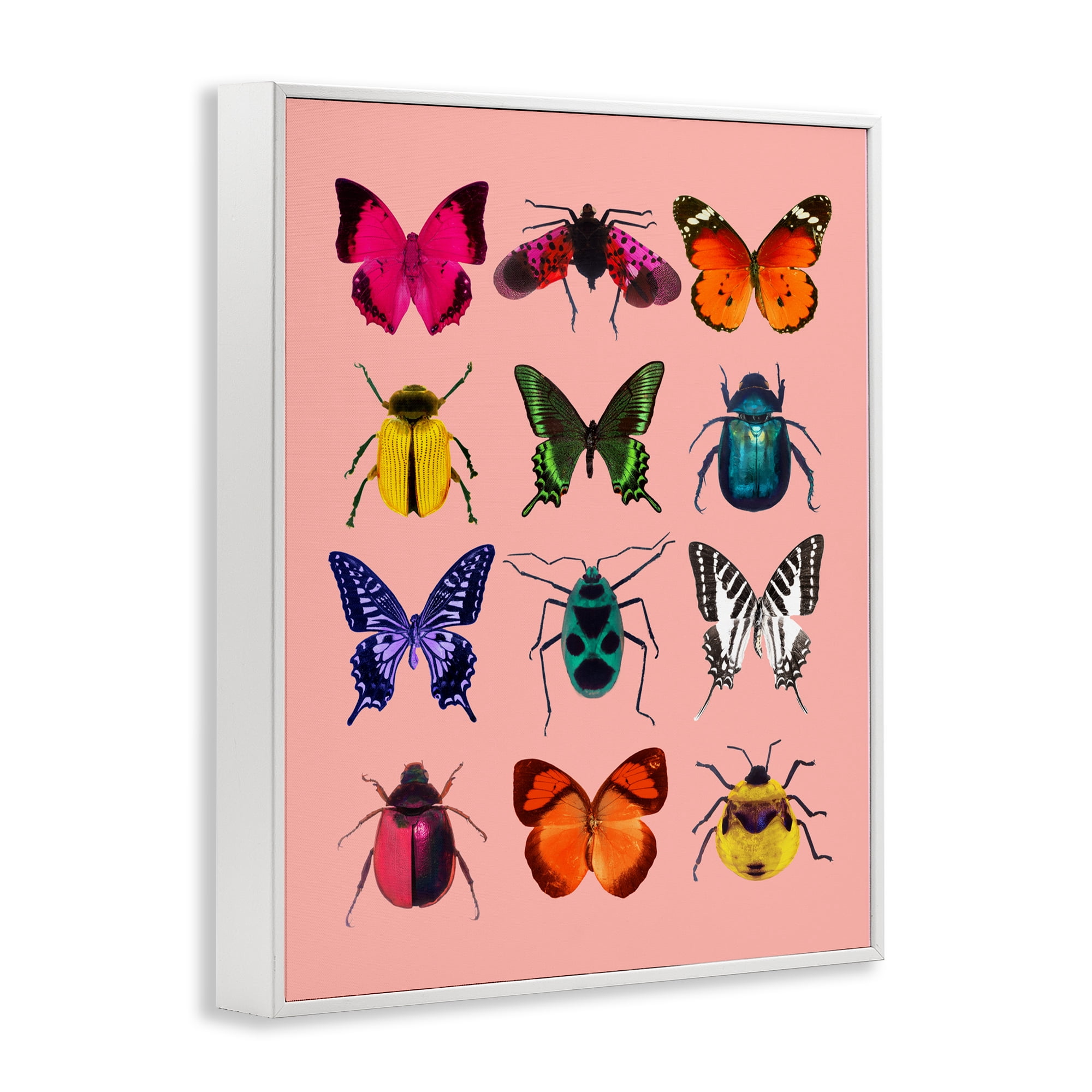 Colorful Bug Species on Pink White Framed Giclee Art, design by LISH Creative