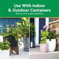 thumbnail image 4 of Potting Mix - For Container Plants, Flowers, Vegetables, Shrubs, Annuals, Perennials, Soil Mix, Feeds up to 6 Months, 16 qt. (2-Pack), 4 of 5