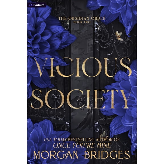 Obsidian Order Vicious Society: A Dark Romance, Book 2, (Paperback)
