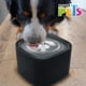 thumbnail image 3 of Fancy Pets. Bebedero Automático para Perros y Gatos Negro 3L., 3 of 5