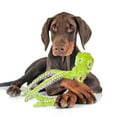 thumbnail image 4 of SPOT Skinneeez Extreme Green Octopus Stuffing Free Plush Tug Dog Toy, 4 of 6