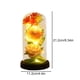 thumbnail image 3 of Xihbxyly Rosa de San Valentín, Flor Eterna En Cúpula de Cristal, Luz Led de Colores, Regalo Romántico para Ella, Sorpresa para El Día de La Madre o Aniversario, Base Negra, Tamaño 21 X 11 Cm, 3 of 6