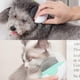 thumbnail image 2 of 2-In-1 Cat Brush Set Pet Hair Removal Shedding and Grooming Comb for Short Haired Cats Stainless Steel Needle Portable Easy to Clean Soft, 2 of 4