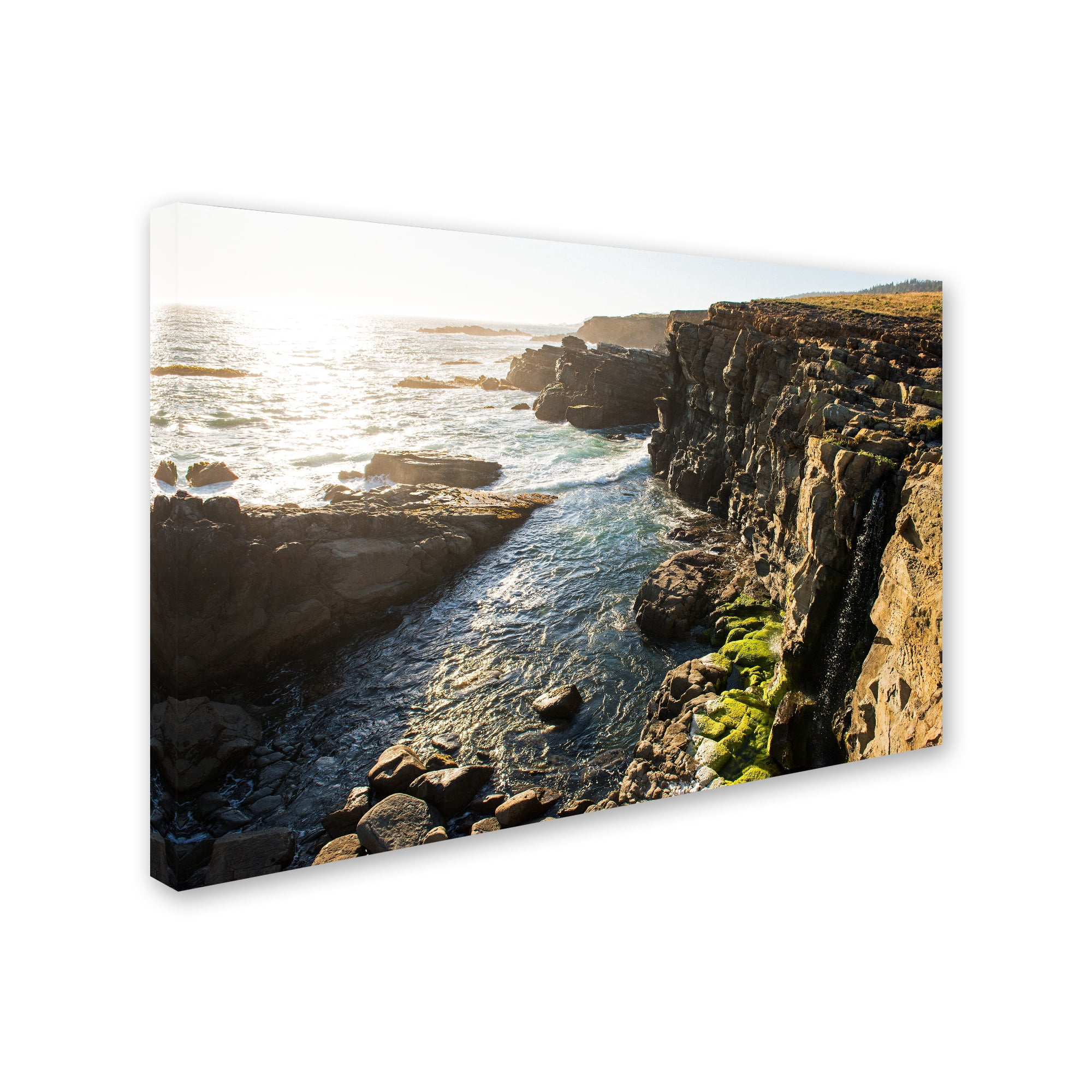 Trademark Fine Art 'Wild Sonoma Coast' Canvas Art by Lance Kuehne
