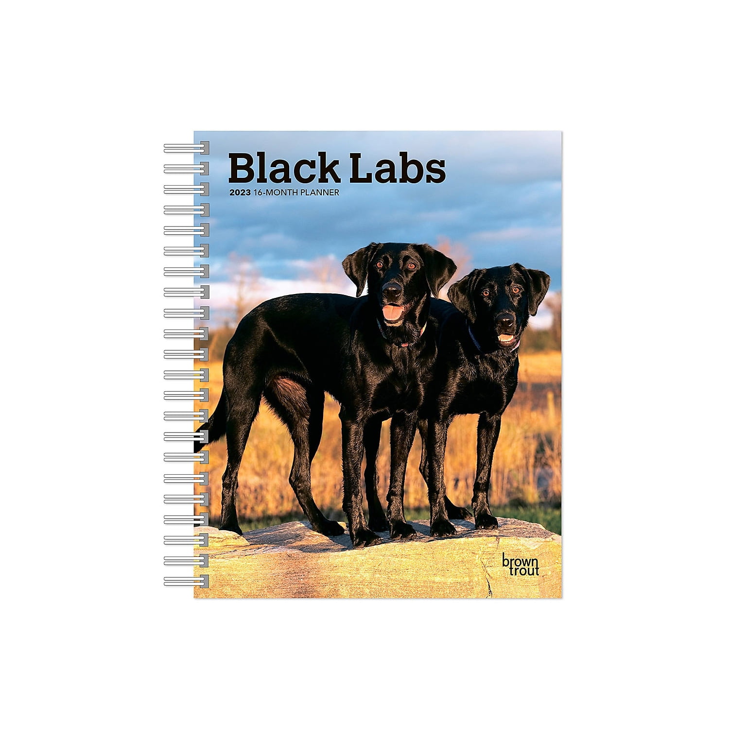 2023 BrownTrout Black Labrador Retrievers 6'' x 7.75'' Weekly Engagement Planner Calendar Multicolor