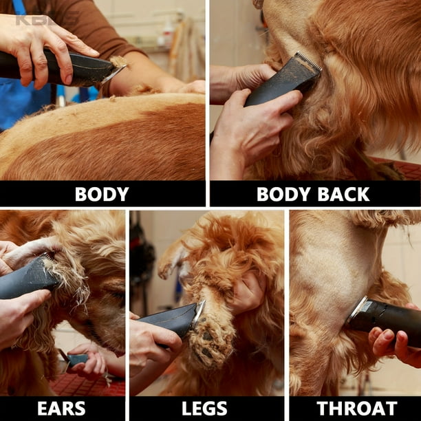 Ionia 4f Detachable Steel Pet Dog Grooming Clipper Blades Compatible With Andis Cut Length Size3 8 9.5mm Other 4f 2pack 3 8 9.5mm