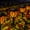 Flame-8 Pack, variant on Landscape & Walkway Lights Flame 8 Pack