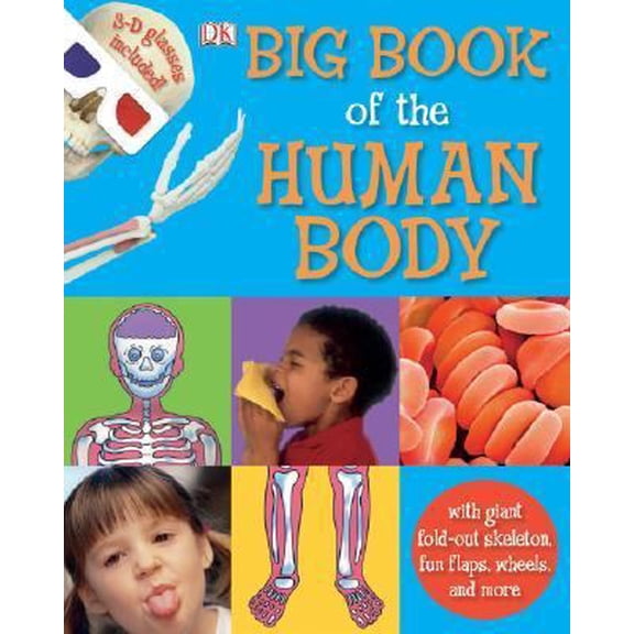 Pre-Owned Big Book of the Human Body (Hardcover) 0756624347 9780756624347