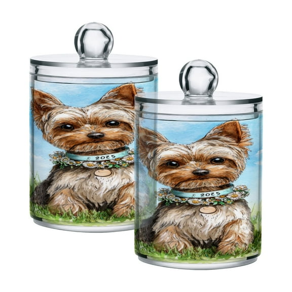 High-value clear storage jars keep life organized and within reach one sizex2 Adorable Yorkshire Terrier