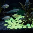 thumbnail image 4 of 50PCs Colorful Glow-in-the-Dark Garden Stones Night Guide Luminous Pebbles Rainbow Glow in the Dark Stepping Rocks Outdoor Landscaping Decor Glowing Stones Fish Tank DIY Aquarium Decorations, 4 of 6