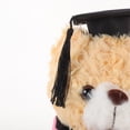 thumbnail image 3 of KAKOWELY Muñeco de oso de graduación, birrete de graduación, peluche de dibujos animados, adorable recuerdo, 3 of 4