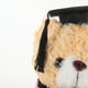thumbnail image 3 of KAKOWELY Muñeco de oso de graduación, birrete de graduación, peluche de dibujos animados, adorable recuerdo, 3 of 4