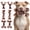 6PC-Bacon-Brown-Tough Dog Toys, variant on Indestructible Dog Toys For Aggressive Chewers: 3-pack Bacon Flavored Rock-hard Solid Nylon Medium & Large Dogs(25-90lbs) Heavy Duty Tough To Keep Them Busy Brown