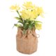 thumbnail image 1 of unbranded Flor Artificial Phalaenopsis De Plástico Con Maceta Para Y Regalo En Eventos, 1 of 6