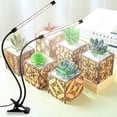 thumbnail image 1 of LED Phytolamp 6000K Full Spectrum Clip Lampe de Culture de Plantes Imperméable à l'Eau avec LEDs Bleu Rouge pour les Plantes d'Intérieur, 1 of 9