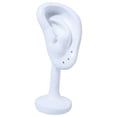 thumbnail image 3 of Resin Ear Model Earring Rack Holder Ear Stud Organizer Simulation Ear Stand White, 3 of 7