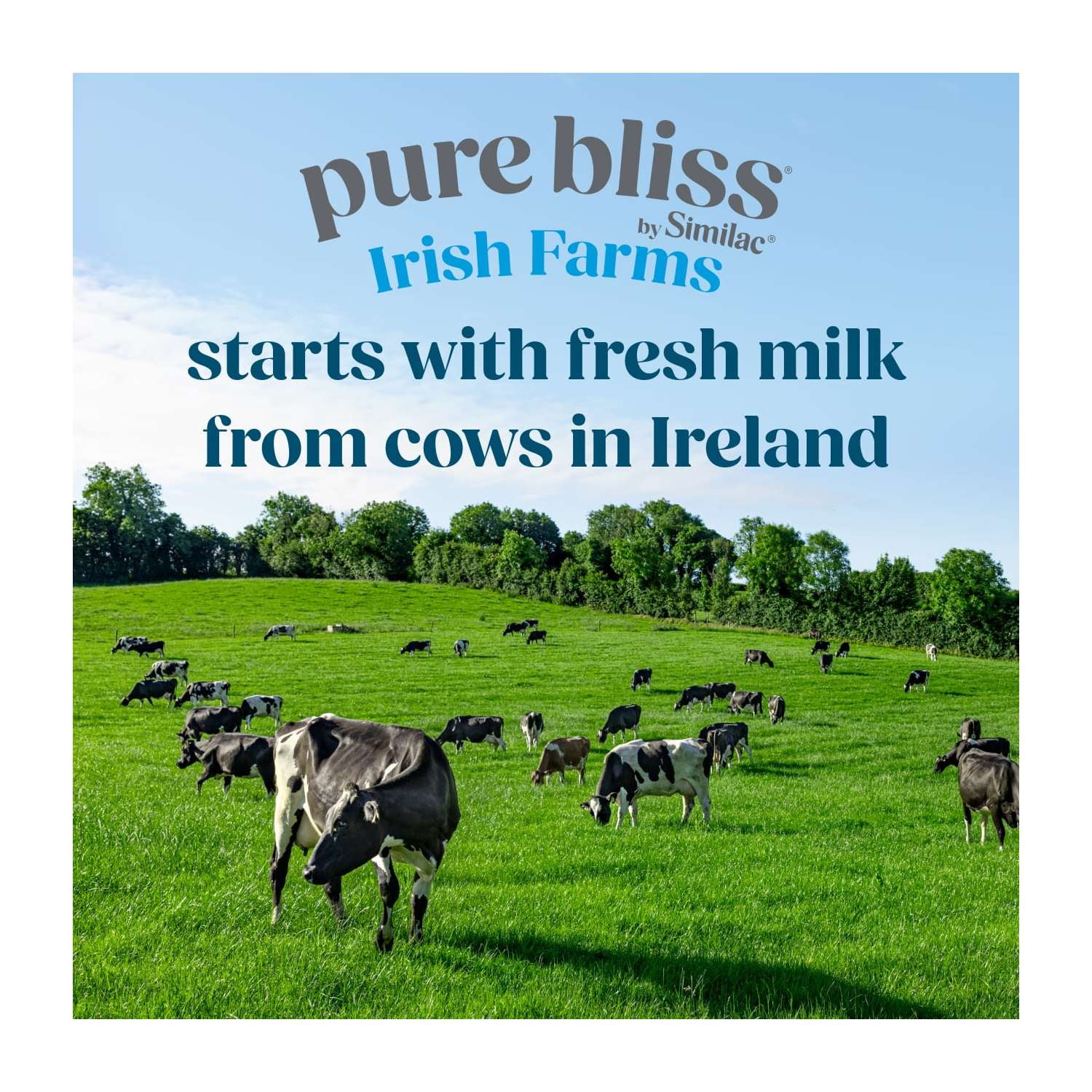 (4 pack) Pure Bliss by Similac Irish Farms Powder Baby Formula, Easy to Digest, 24.7-oz Can