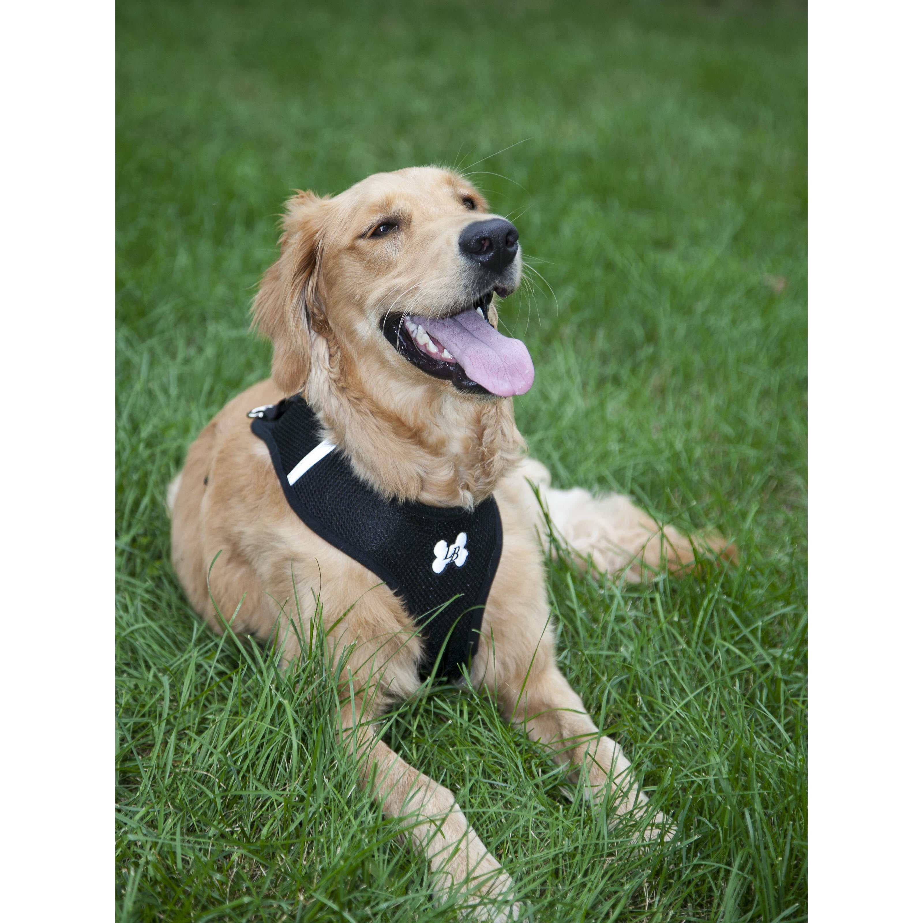 Comfort Padded Lightweight Breathable Nylon Mesh Dog Harness and Leash