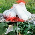 thumbnail image 1 of Naierhg 50Pcs/Set Net Bags Durable Protective Nylon Fruit Trees Fruit Cover Mesh Bag for Yard, 1 of 8
