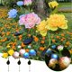 thumbnail image 1 of Luces solares de peonía - Focos solares exteriores con estacas de jardín con 3 LEDs blancos, impermeable IP65, material ABS+EVA, duración de 10 horas para decoración de jardín, senderos y vallas, 1 of 5