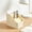 A, variant on Storage Box Stationery Makeup Pen Eyebrow Pen Office Remote Control Holder 4 Compartment Plastic Sorting Box