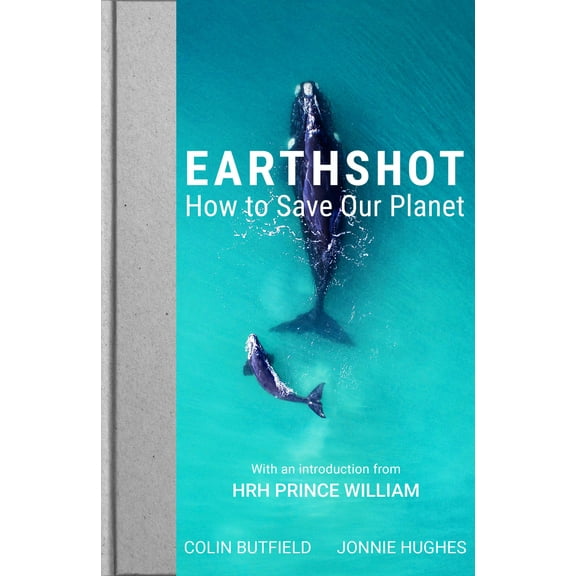 Earthshot : How to Save Our Planet (Hardcover)