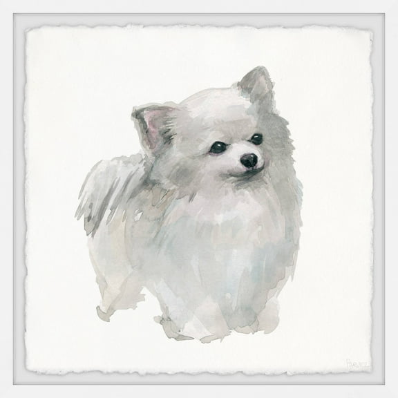 Parvez Taj White Pomeranian Framed Wall Art