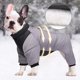 thumbnail image 1 of Ropa para mascotas engrosada en invierno, ropa para perros pequeños, ropa reflectante cálida de algodón para mascotas, ropa para mascotas, 1 of 4