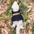 thumbnail image 3 of czcpp-Bearded Dragon Harness and Leash Set, Escape Proof Adjustable Lizard Leash and Reptile Harness for Walking, Cute Outfits for Bearded Dragon Costumes, 3 of 4