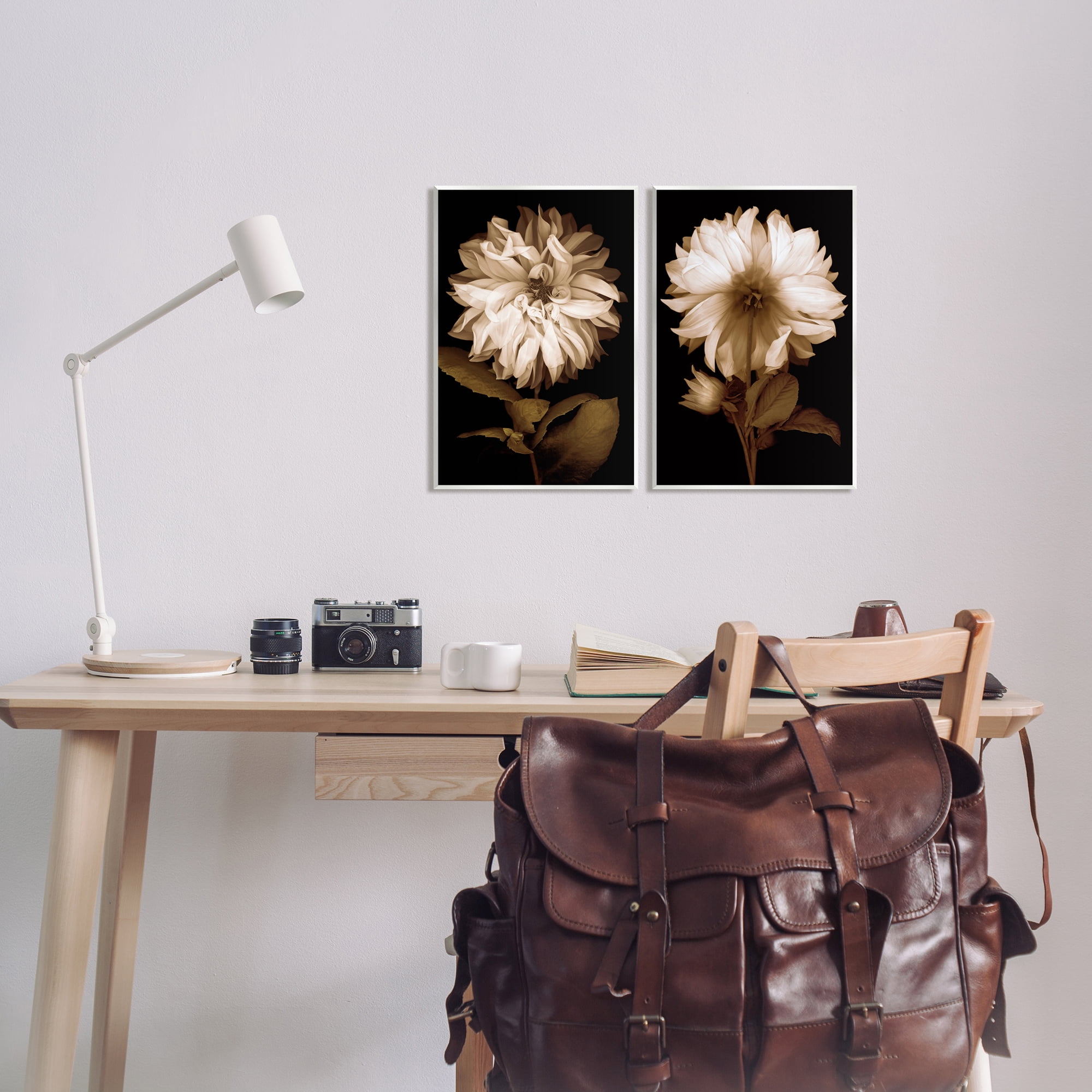 Stupell Sepia Chrysanthemum Flower Blooms Botanical & Floral Photography Wall Plaque Unframed Art Print Wall Art, Set of 2