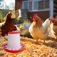 thumbnail image 2 of Chicken Feeding Bucket Thickened Plastic Automatic Chicken Basin Supplies Feeding, 2 of 8