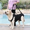 thumbnail image 5 of Dog Lift Harness for Large Dogs Sling for Whole Body Dog Legs Support Carriers Harness for Elderly Injured Disabled Dogs, 5 of 16