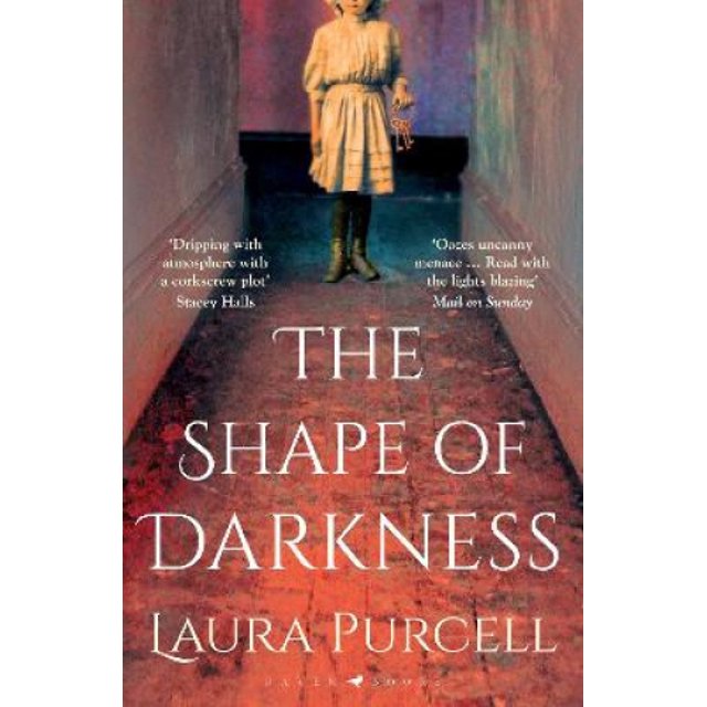 The Shape of Darkness: 'Darkly addictive, utterly compelling' Ruth Hogan