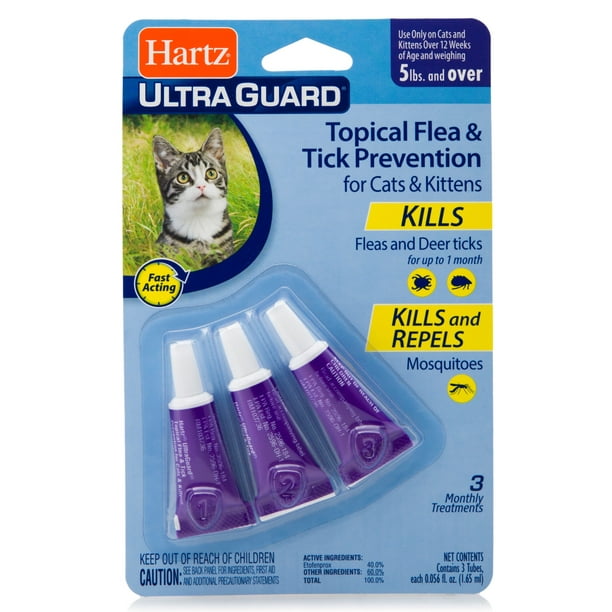 Best Flea Powder Kelly's Classroom