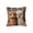 C, variant on Throw Pillow Covers 18x18 Inch, Decorative Square Pillowcases, Farmhouse Holiday Cushion Covers for Couch Sofa Living Room Bedroom Outdoor Home Decor