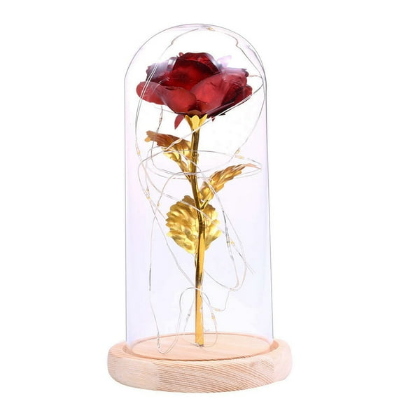 Yeacher Cadeau d'Anniversaire Belle Fleur de Rose Préservée Lumière LED avec Couvercle en Verre Base en Bois Cadeau de Saint-Valentin Mariage