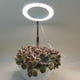 thumbnail image 3 of Inteprter Lámpara LED ajustable para plantas, variedad creciente de plantas, luces LED para cultivo, lámpara LED de espectro completo Jardín y Patio Bíceps de 3.5 pulgadas, 3 of 6