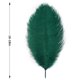 thumbnail image 4 of Plumas de Avestruz Larryhot Verdes de 16-18" Paquete de 10 para Manualidades y Decoración, 4 of 6