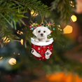 thumbnail image 4 of Christmas Dogs Ornament Christmas Acrylic Funny Dog Christmas Stocking Animal Ornament RED Schnoodle In Snow Pocket Christmas Ornament Christmas Decoration, 4 of 5