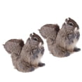 thumbnail image 1 of Estatua de ardillas simuladas 2 Unids Animales Animales De Simulación De Ardilla Simulación Juguete Jardín Adornos, 1 of 7