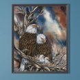 thumbnail image 1 of Cuadros Decorativos 5D bricolaje cuadrado completo taladro diamante pintura Eagle Kit decoración del hogar (ZQA419) Wdftyju embutido en tela, 1 of 9