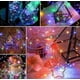 thumbnail image 3 of 30pcs Cadena De Luces Hadas Con Pilas 3m 30led Luz Rgb 3modo, 3 of 4