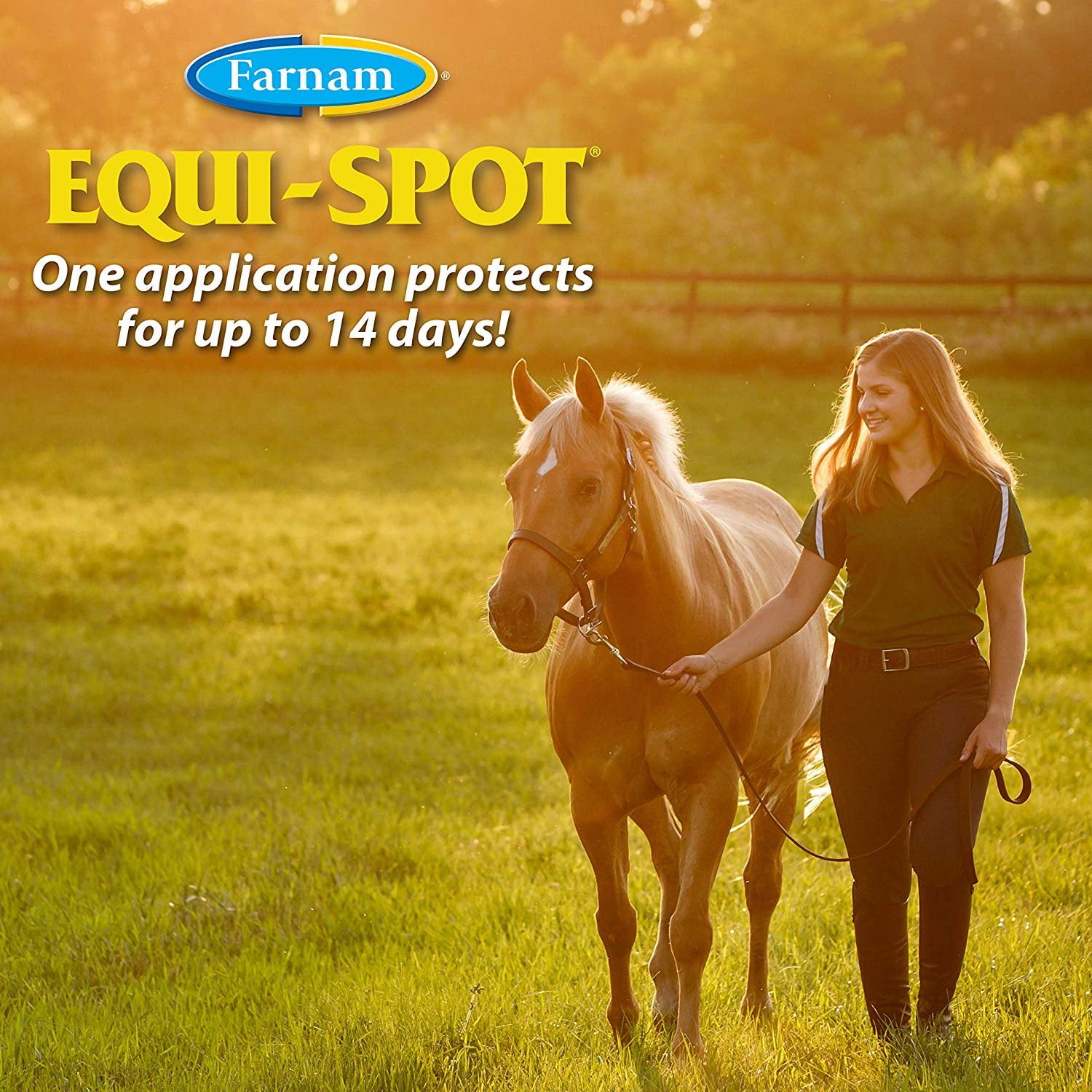 Penny - FLY HORSE  Farnam Equi-Spot Fly Spray, Spot On Insect Protection for