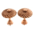 thumbnail image 1 of Material De Resina Cortina Tie Back Ganchos De Pared Sombrero Bufanda Percha Bronce, 1 of 9