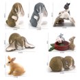 thumbnail image 2 of Juego de figuras de conejo en miniatura, 7 piezas, PVC, conejitos, animales de granja para niños, 2 of 3