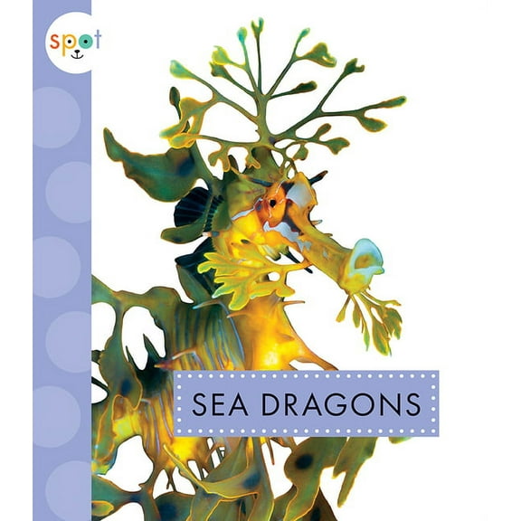 Spot Ocean Animals: Sea Dragons (Paperback)