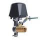 thumbnail image 1 of Cateissary Controlador de válvula inteligente Tuya Wifi/Zigbee para tubería de y agua apagado automático Compatible con asistente de Electrodomésticos, 1 of 6